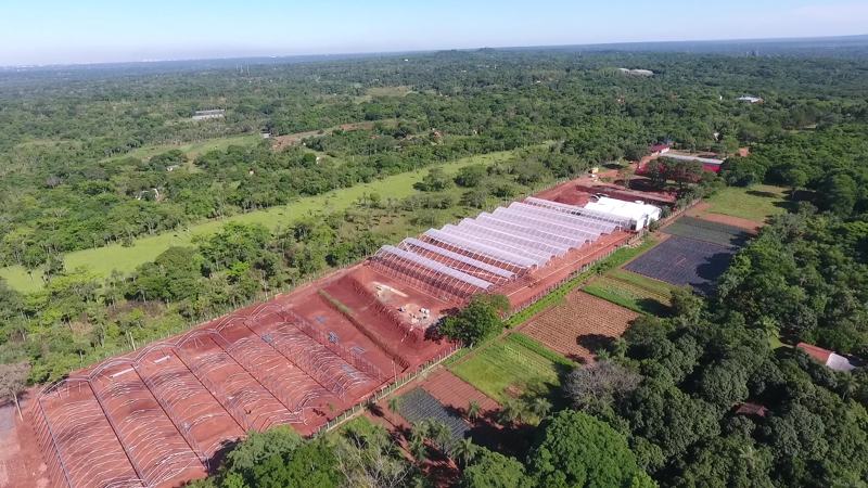 Vista aérea del complejo de invernaderos Agralia con las naves y el terreno explanado